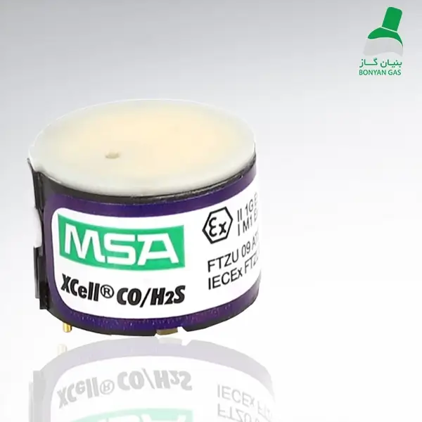 Dual function Xcell COH2S sensor MSA device