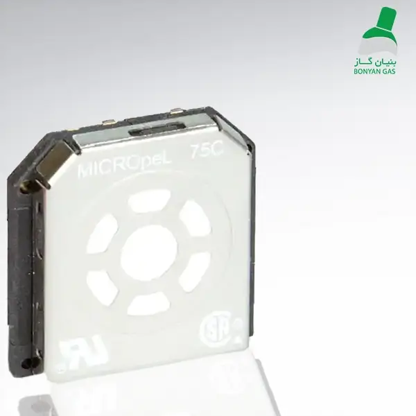 Explosive gas measuring sensor of BW device
