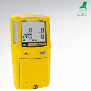 Multi-gas portable gas meter with BW internal pump